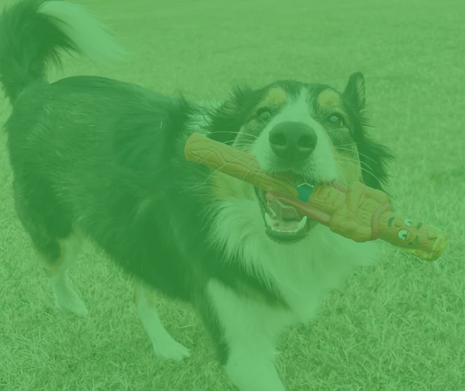 Welcome to Our Store